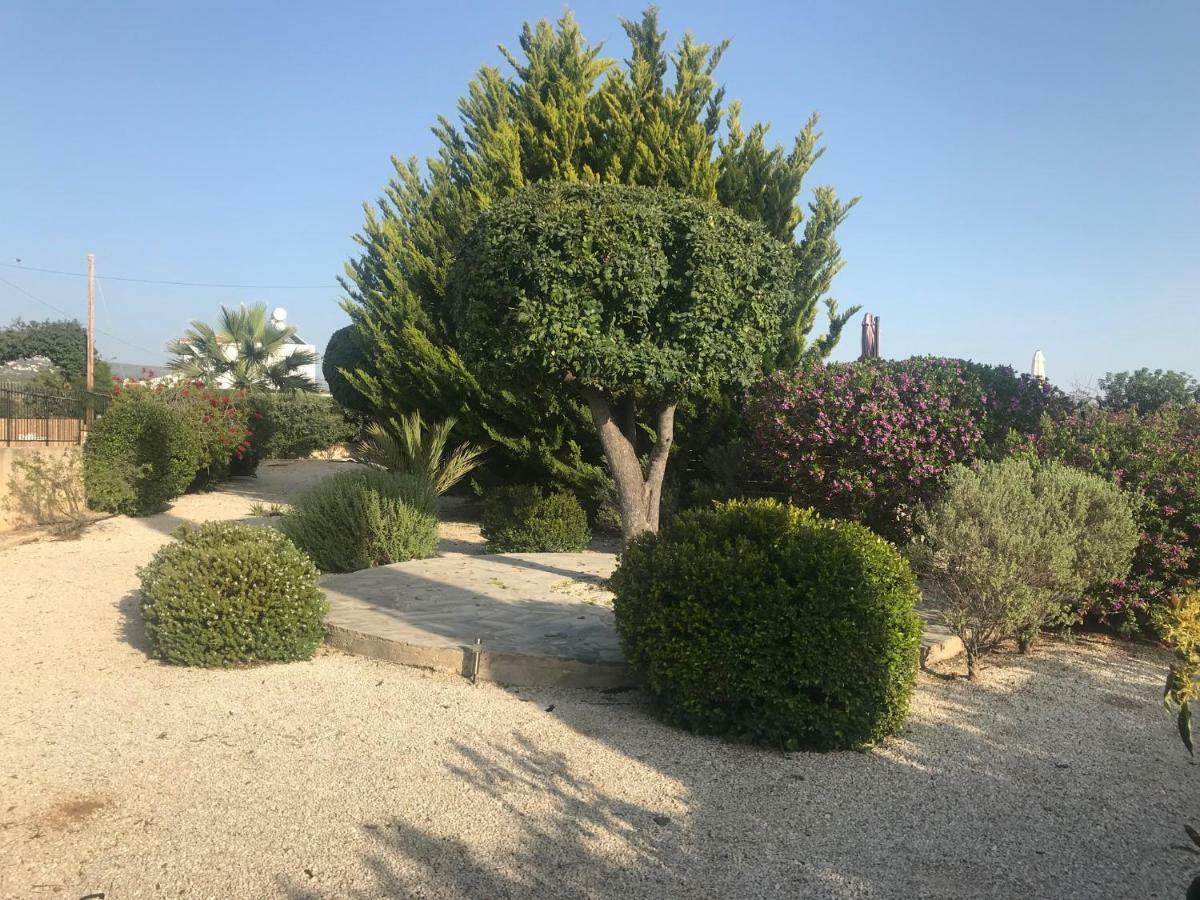 Villa Lilly Peyia Exterior foto